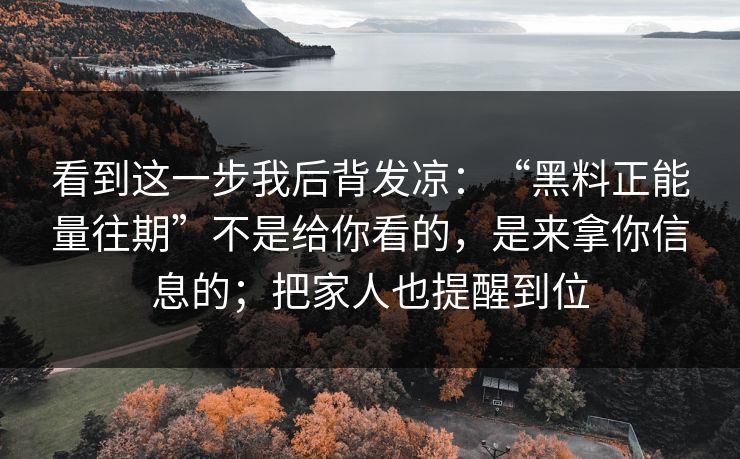 看到这一步我后背发凉：“黑料正能量往期”不是给你看的，是来拿你信息的；把家人也提醒到位