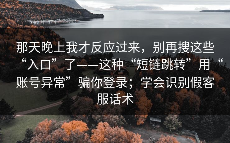 那天晚上我才反应过来，别再搜这些“入口”了——这种“短链跳转”用“账号异常”骗你登录；学会识别假客服话术