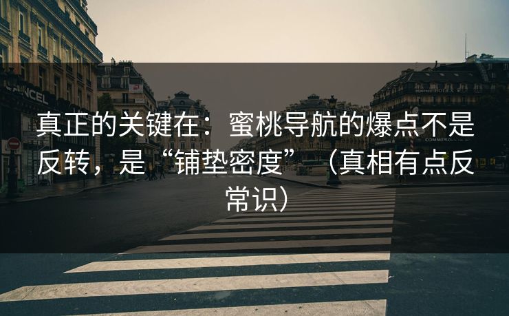 真正的关键在：蜜桃导航的爆点不是反转，是“铺垫密度”（真相有点反常识）