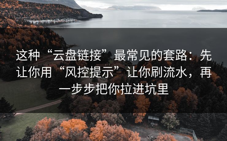 这种“云盘链接”最常见的套路：先让你用“风控提示”让你刷流水，再一步步把你拉进坑里