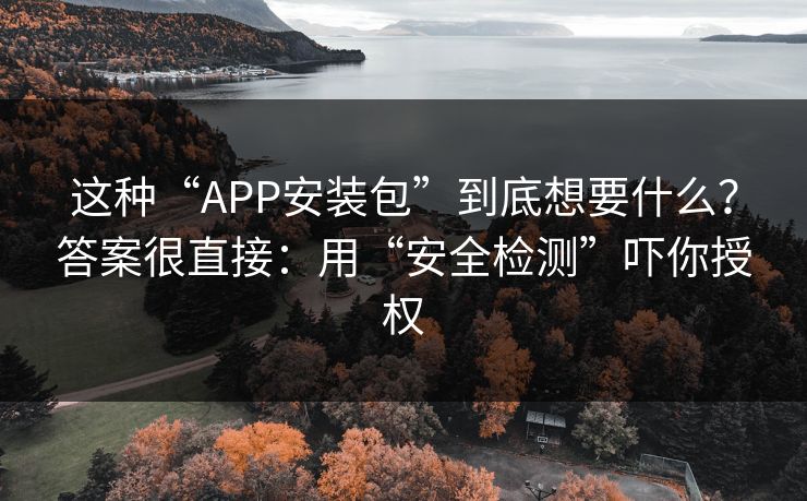 这种“APP安装包”到底想要什么？答案很直接：用“安全检测”吓你授权