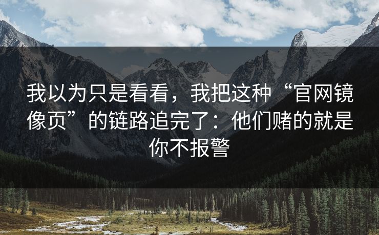 我以为只是看看，我把这种“官网镜像页”的链路追完了：他们赌的就是你不报警
